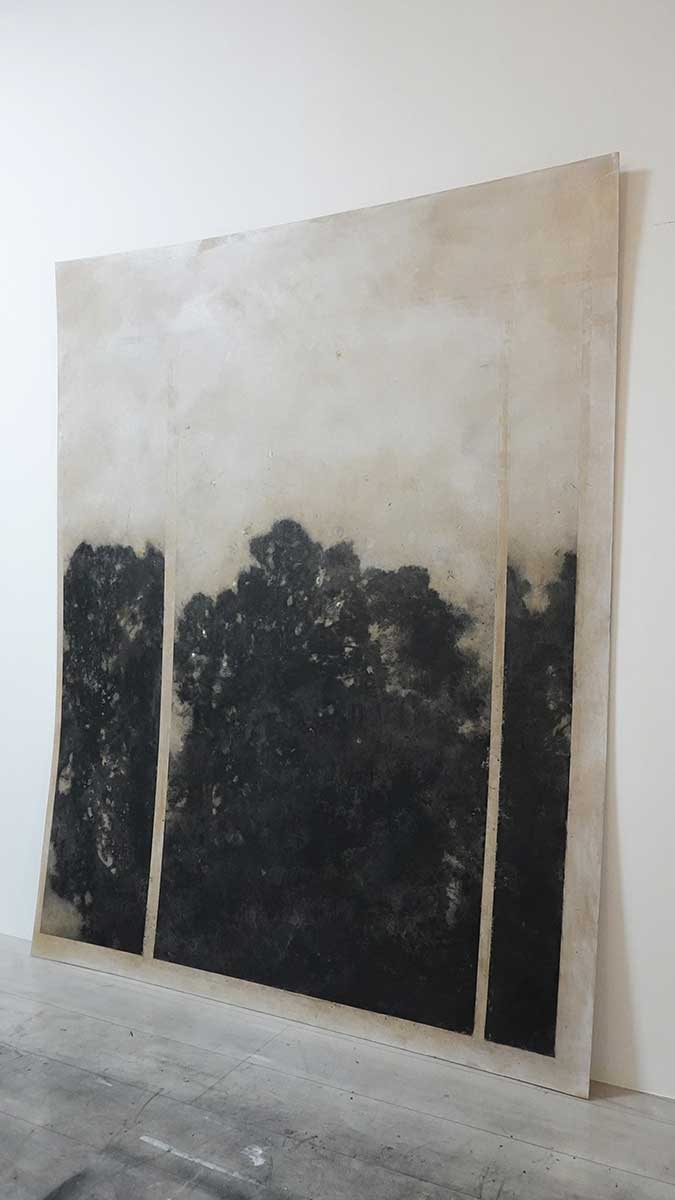 Shintaro Kobayashi